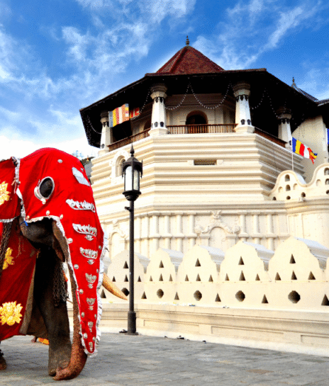 srilanka